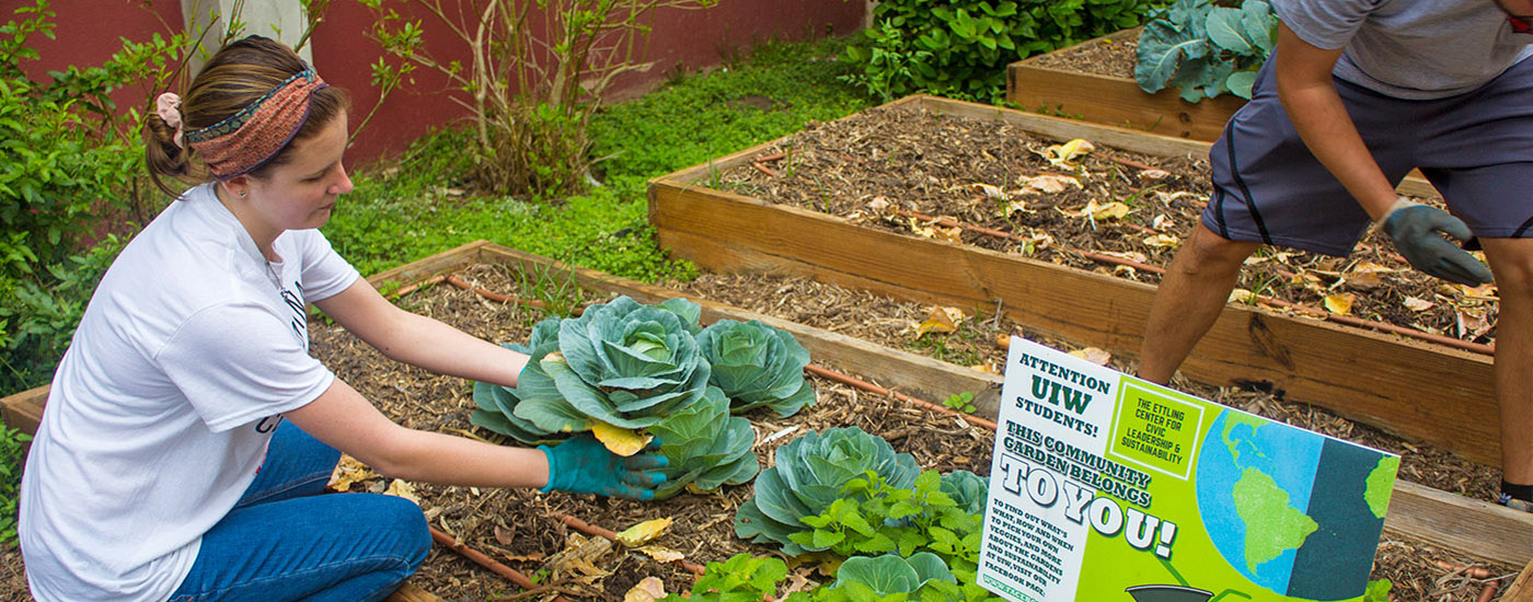 Ettling Center For Civic Leadership and Sustainability