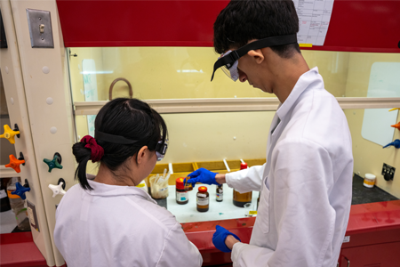 students working with chemicals under a chemical hood