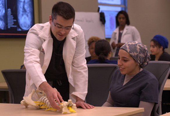 Professor and student looking at spine model