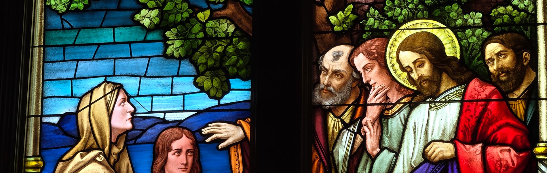 The Laudato Si’ Action Plan at UIW