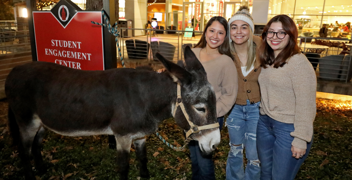 Three students petting a donkey