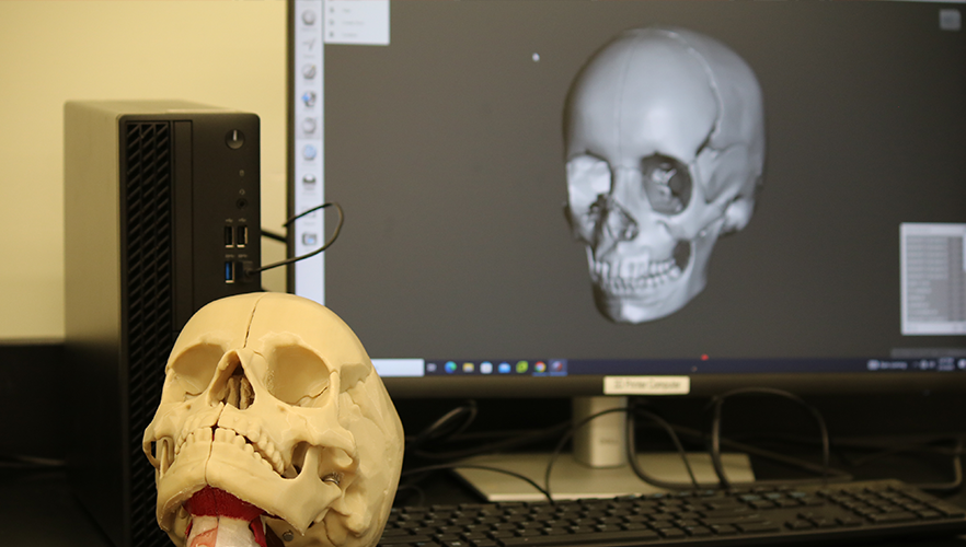 printed skull and computer