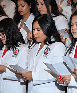 Honorees reciting the Pledge of Professionalism