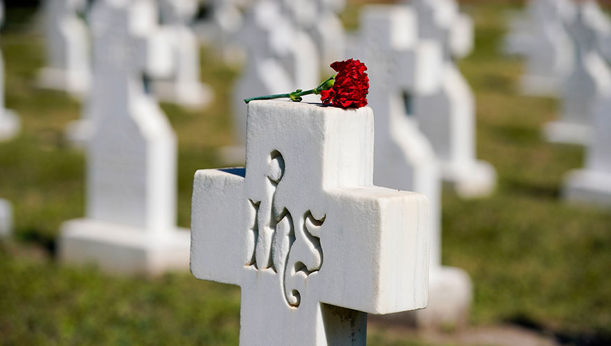 Flower on CCVI grave