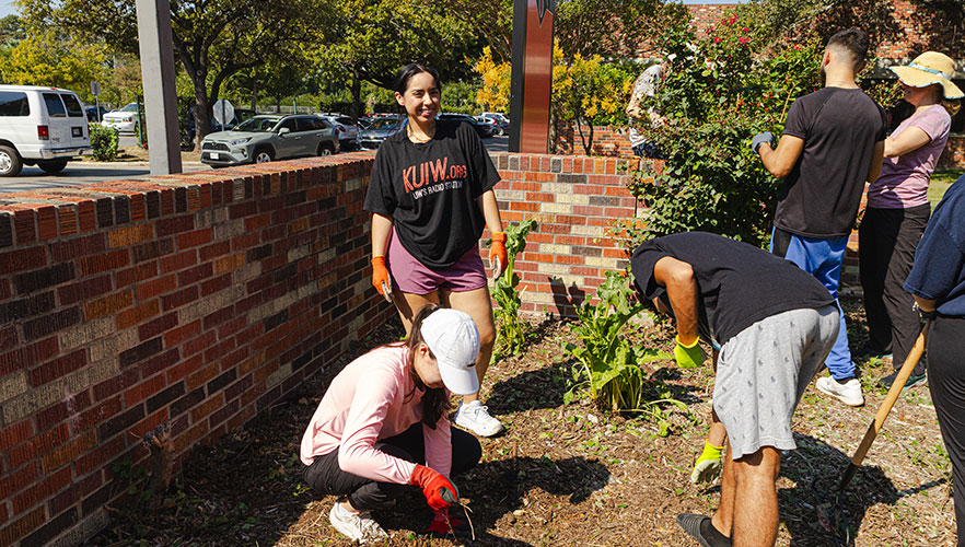 Volunteers planting
