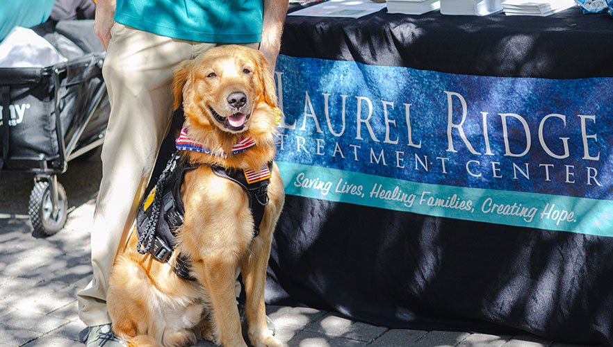 Therapy dog standing in front of table