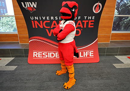 Red Cardinal Mascot